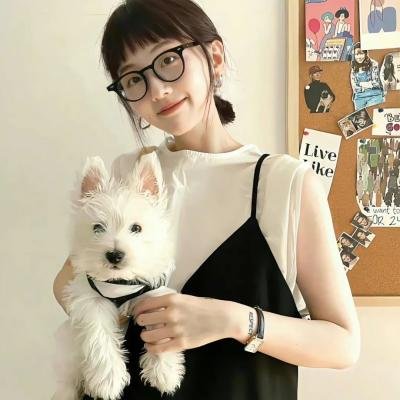 遇见波士顿布莱奇